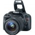 «Новинки фотоаппаратов Canon к началу летнего сезона!» - Новости интернет-магазина «Лаукар»