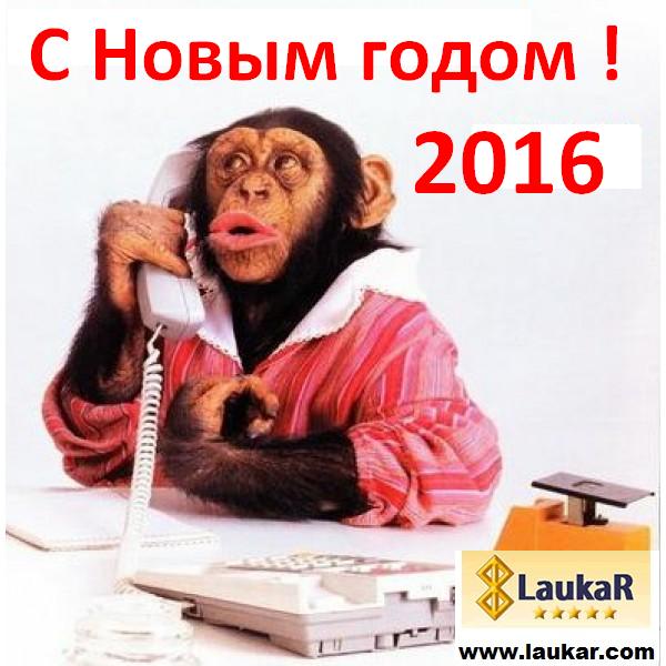 С Новым годом 2016 !