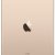 Планшетный компьютер Apple iPad Air 2 32Gb Wi-Fi + Cellular Gold — фото 4 / 6