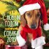 «Поздравляем с наступающим 2018 Новым годом!» - Новости интернет-магазина «Лаукар» «Поздравляем с наступающим 2018 Новым годом!» - Новости интернет-магазина «Лаукар»