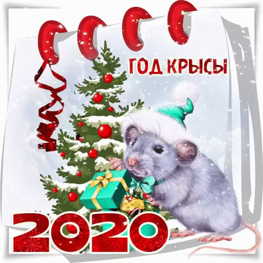 Бытовая техника красноярск