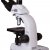 Микроскоп Levenhuk MED 25T, тринокулярный — фото 9 / 20