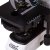 Микроскоп цифровой Levenhuk MED D45T LCD, тринокулярный — фото 14 / 21