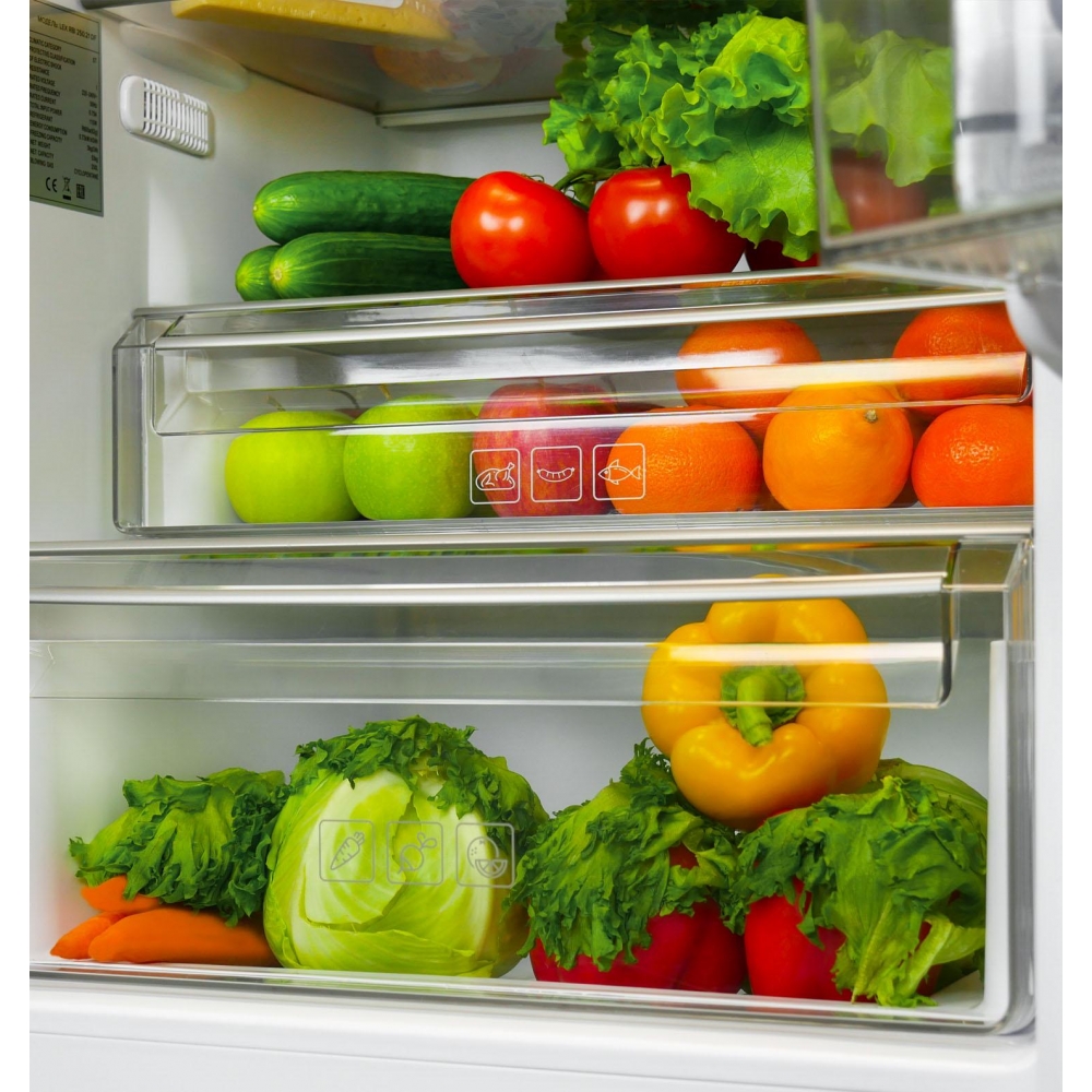 Встраиваемый холодильник LEX RBI 250.21 DF купить
