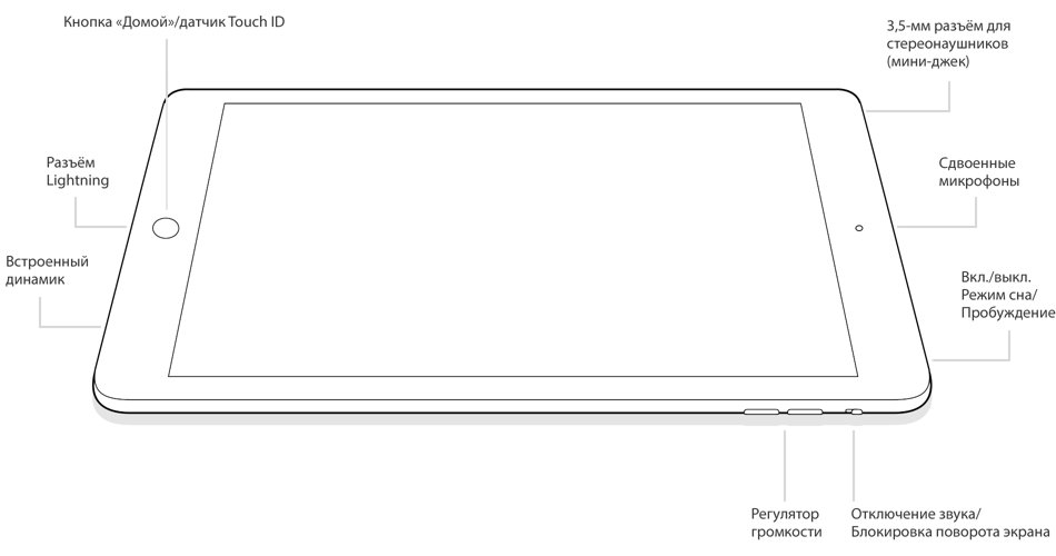 Местоположение планшета. IPAD Mini 6 чертеж. Конструкция планшетов. Из чего состоит планшет. Планшеты составные части.