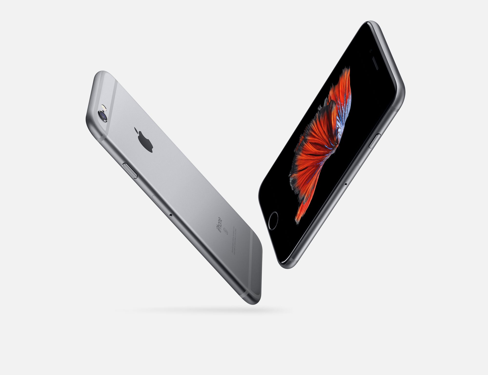 Смартфон Apple iPhone 6S Plus LTE 16Gb Grey в Красноярске купить по  выгодной цене - интернет-магазин Laukar