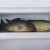 Холодильник DEXP RF-SD225HA/W — фото 12 / 12