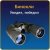 Бинокль - самый распространеннй оптический прибор для ведения наблюдения