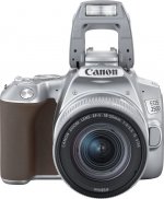 Цифровой фотоаппарат Canon EOS 250D kit серебристый — фото 1 / 6