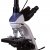 Микроскоп цифровой Levenhuk MED D10T, тринокулярный — фото 3 / 19