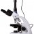 Микроскоп цифровой Levenhuk MED D10T, тринокулярный — фото 10 / 19