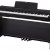 Цифровое фортепиано Casio Privia PX-870 Black — фото 3 / 5