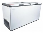 Морозильный ларь Frostor F 600 SD — фото 1 / 6
