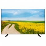 Телевизор GoldStar LT-43F800 &mdash; фото 1 / 1