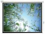 Экран для проектора Lumien Eco Control LEC-100102 203х203 1:1