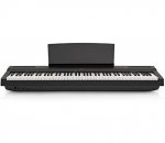 Цифровое пианино Amadeus Piano AP-125 Black [200969] — фото 1 / 1