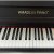 Цифровое пианино Amadeus Piano AP-800 Brown [200971] — фото 3 / 2