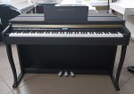 Цифровое пианино Amadeus Piano AP-950 Brown [200977] — фото 1 / 3