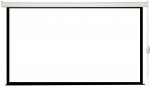 Экран для проектора Lumien Eco Control LEC-100111 280х187 16:9 — фото 1 / 1