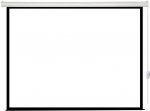 Экран для проектора Lumien Eco Control LEC-100107 244х183 4:3 — фото 1 / 2