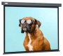 Экран для проектора Cactus Wallscreen CS-PSW-149X265-SG 265.7х149.4 16:9