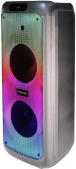 Портативная акустика Microlab PT1000W — фото 1 / 5