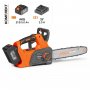 Цепная пила Daewoo DACS 3021Li SET