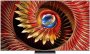 Телевизор TCL 85C8K