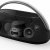 Портативная акустика Harman/Kardon Go + Play 3 — фото 9 / 9