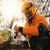 Бензопила Stihl MS 151 TC-E [1146-011-3020] — фото 4 / 3
