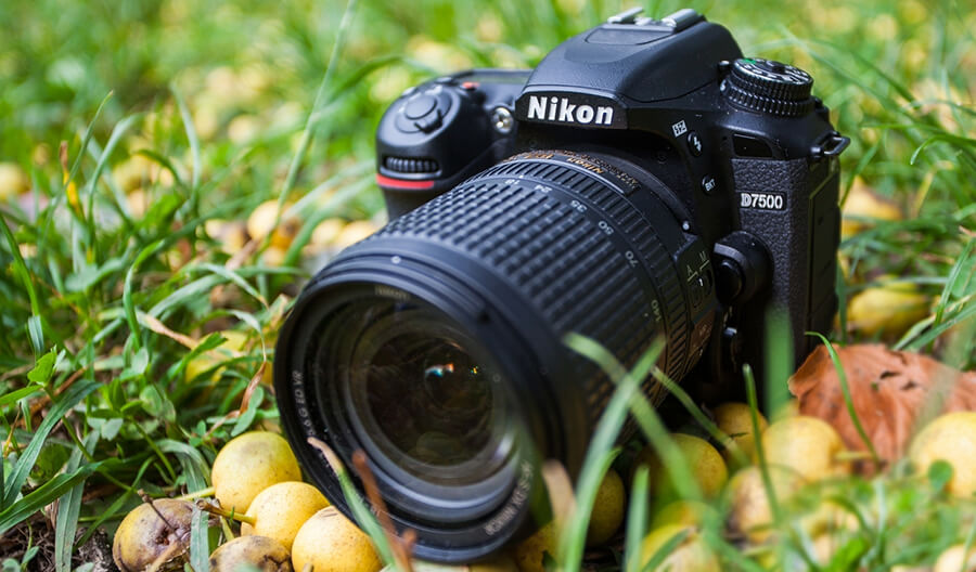 Nikon D7500 Kit купить
