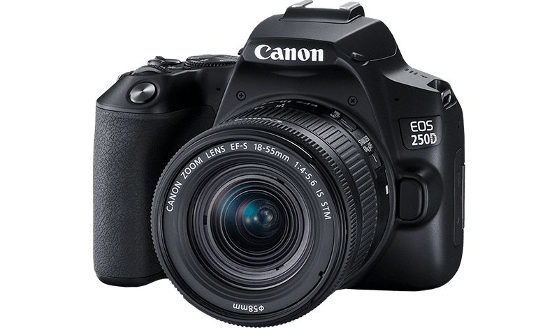 Canon EOS 250D kit купить