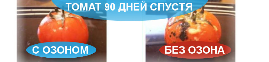 Ozonbox Air-110 купить в Красноярске