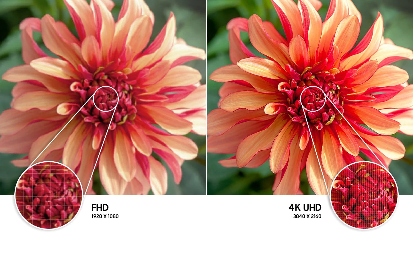 Samsung UE50AU8000U Samsung UE50AU8000U купить Красноярск