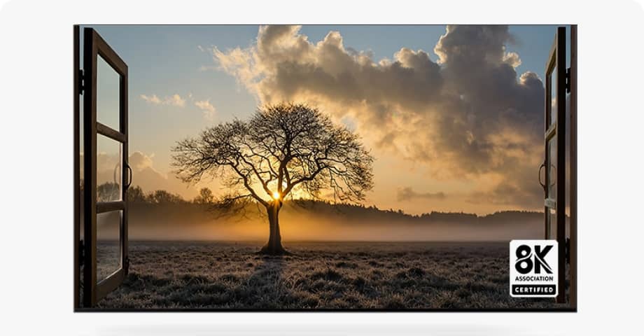 SAMSUNG QE75QN800AU купить в Красноярске