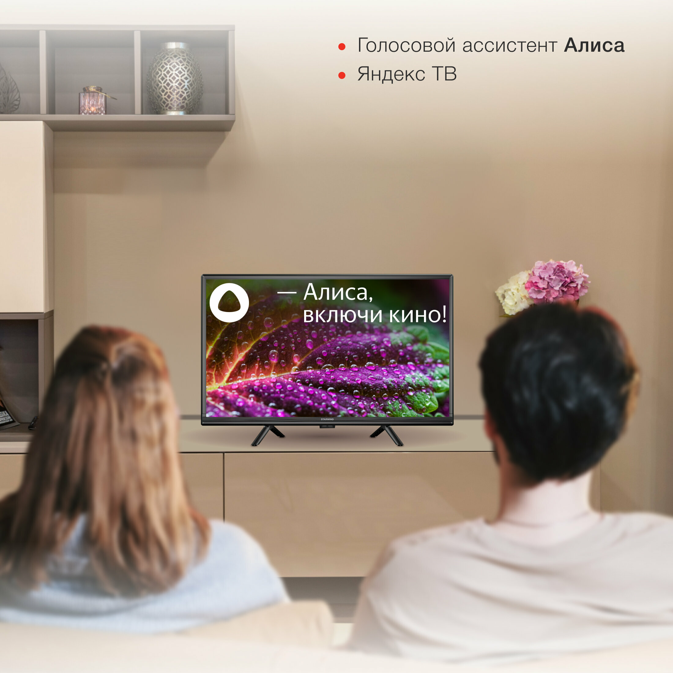 Телевизор StarWind SW-LED24SG304 купить в Красноярске