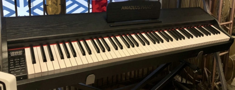 Цифровое пианино Amadeus Piano AP-125 Black [200969] купить в Красноярске