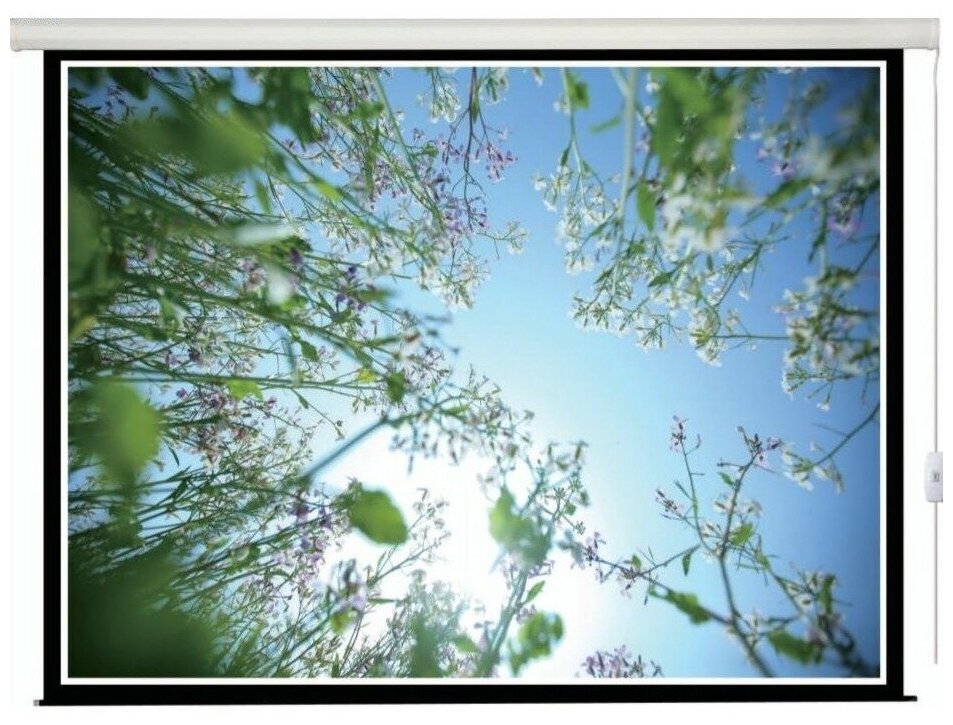 Экран для проектора Lumien Eco Control LEC-100116 280х177 16:10 купить в Красноярске