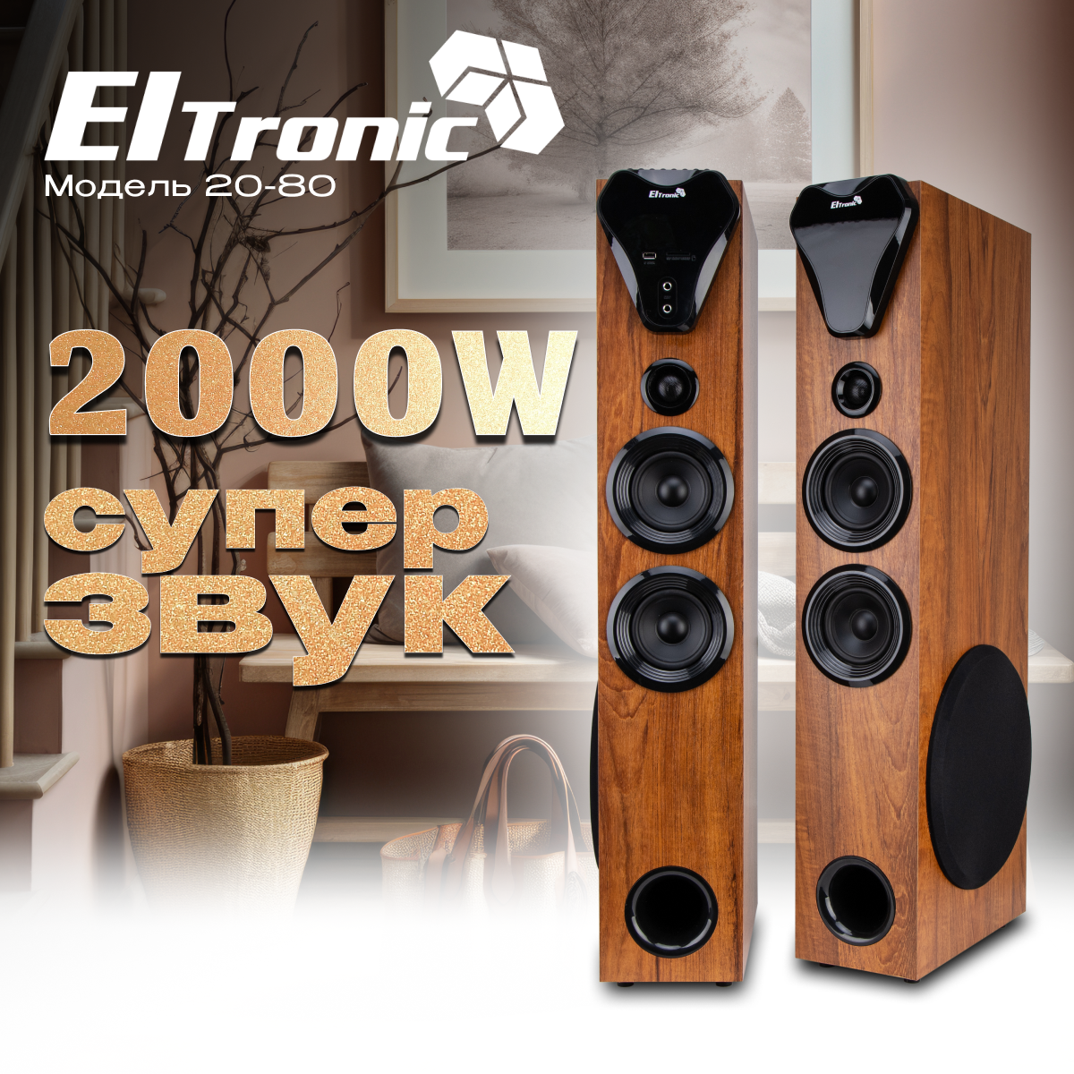 Акустическая система Eltronic 20-80 Home Sound Бук купить в Красноярске