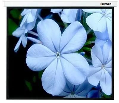 Экран для проектора Lumien Master Picture LMP-100114 406х305 4:3 купить в Красноярске