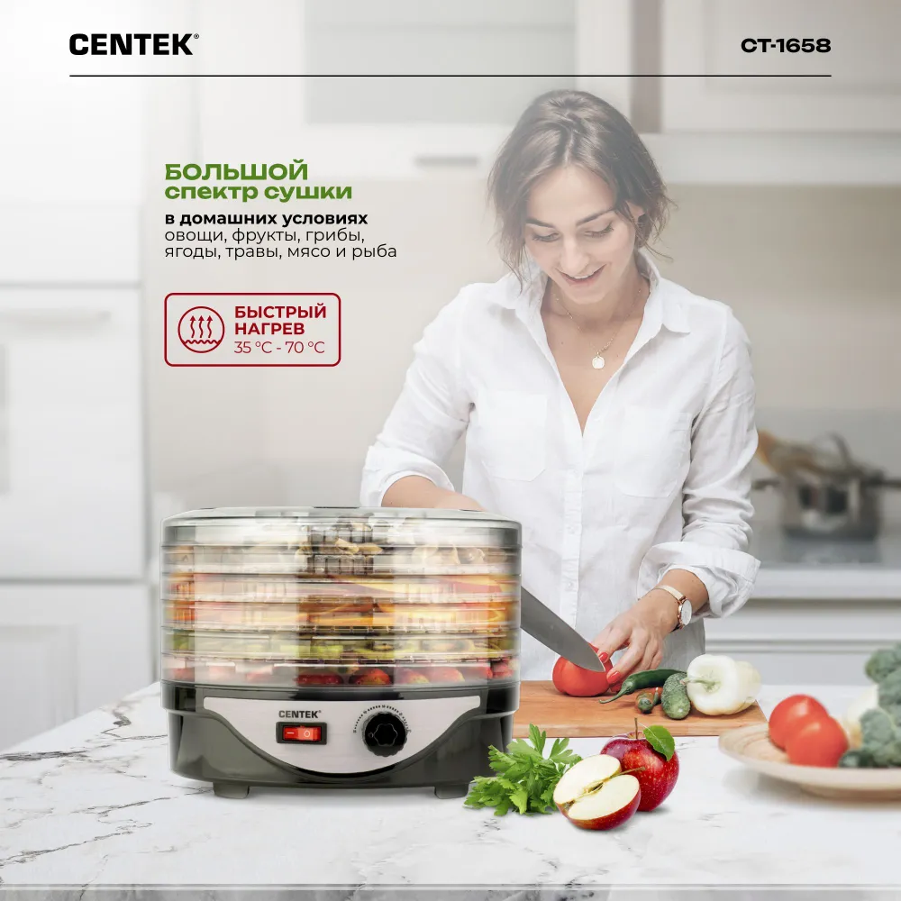 Centek CT-1658 купить