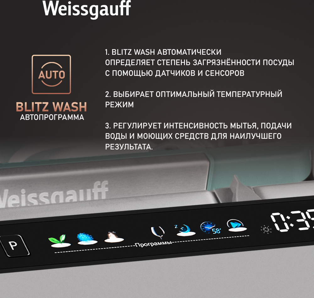 Weissgauff BDW 6140 Real Touch DC Inverter Timer Floor фото