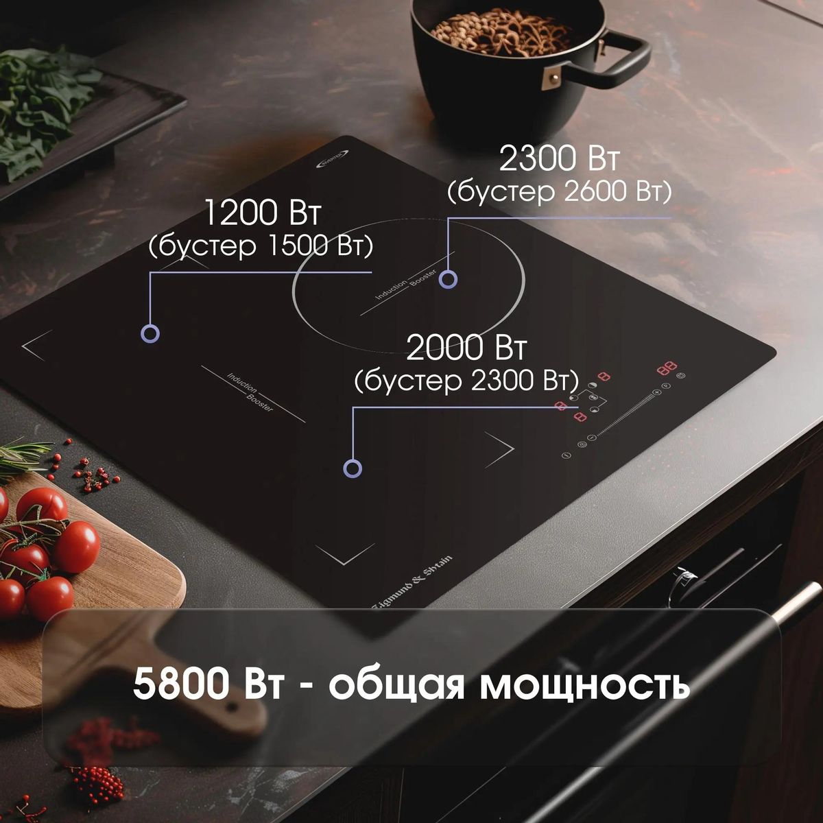 Zigmund & Shtain CI 49.4 B индукционная Zigmund & Shtain CI 49.4 B индукционная купить