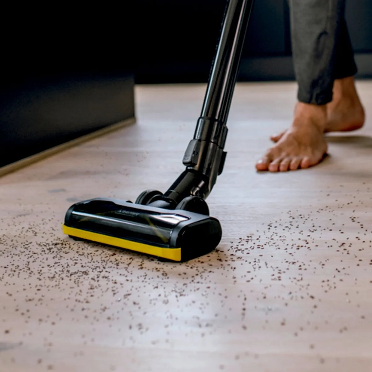 Karcher VC 4 Cordless myHome Pet [1.198-633.0]