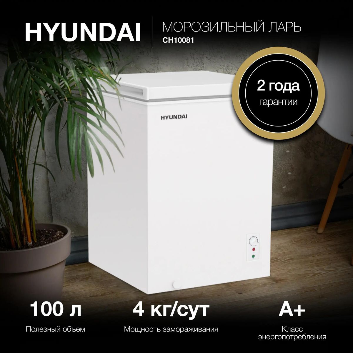 Морозильный ларь Hyundai CH10081 купить в Красноярске