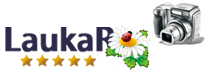 Логотип - Интернет-магазин «Лаукар»